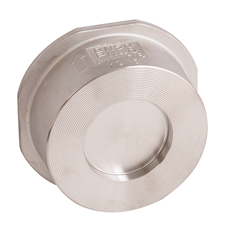  Stainless Steel Check Valve